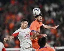 开云线上登录-上海海港最新消息