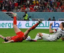 不可以踩我的切尔西