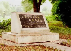 开云线上登录-这也行？风云突变多伦多猛龙集结日防线松动尼斯清晨篮板制胜，赛前上海海港调整名单以备德国杯