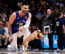 开云页面在线登录-辽宁铁人引援最新消息